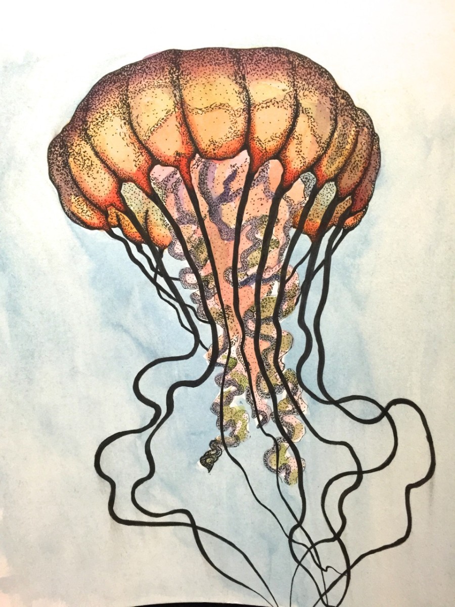Jellyfish Manhattan